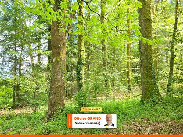 TERRAIN DE LOISIR BOISE 4078 M² - CENTRE-BOURG