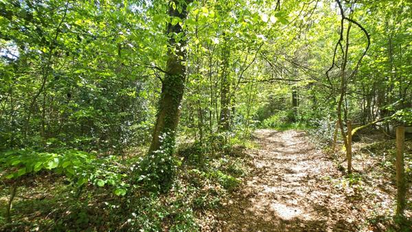 TERRAIN DE LOISIR BOISE 4078 M² - CENTRE-BOURG