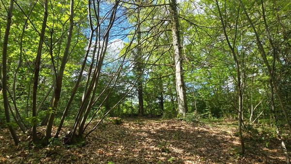 TERRAIN DE LOISIR BOISE 4078 M² - CENTRE-BOURG