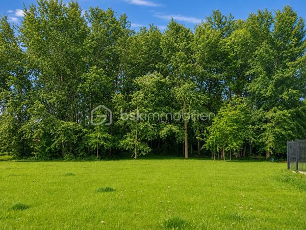 Votre Conseillère Shana WURMSER, vous propose en exclusivité cette maison aux portes de Rethel, dans la Commune de Doux. 

Entièrement rénovée à l’intérieur, cette maison offre de beaux volumes et se compose : d'une entrée sur une grande pièce de vie d'environ 55m², une cuisine équipée et dinatoire, un wc, un bureau, un dressing, une salle d'eau, une arrière cuisine et  2 pièces complémentaires.

A l'étage, une chambre parentale avec un espace dressing (possibilité d'aménager une salle d'eau), 3 chambres, une salle d'eau/wc. 

Un grenier et une cave complètent ce bien. 

Le véritable atout de cette propriété : un terrain d’environ 3 100 m².

Chauffage électrique et poêle à granulés. 

Travaux réalisés; Isolation, électricité, menuiseries, plomberie.

Travaux à réaliser; Façade