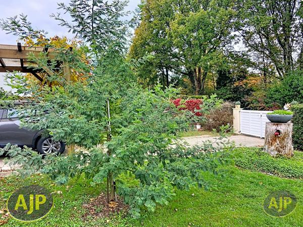 Vente maison Suce Sur Erdre : 402 000 € - AJP Immobilier Carquefou