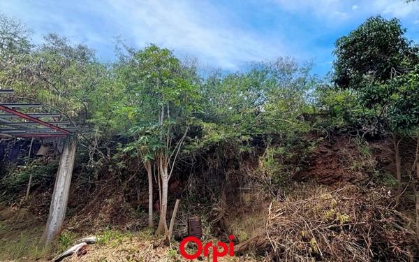 Terrain à vendre    Sainte-Marie