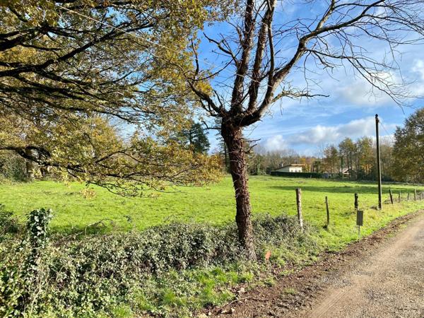 grand terrain à bâtir