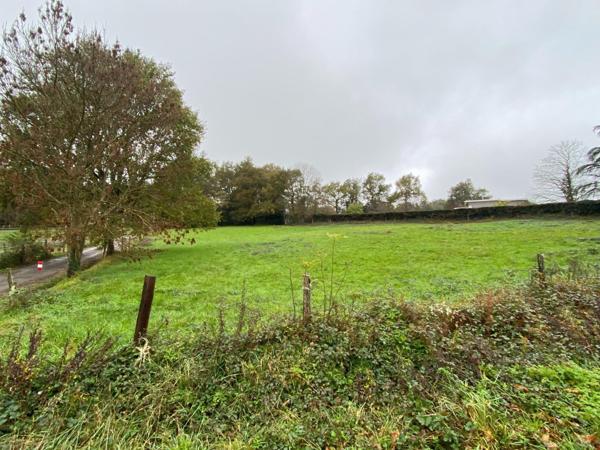 grand terrain à bâtir