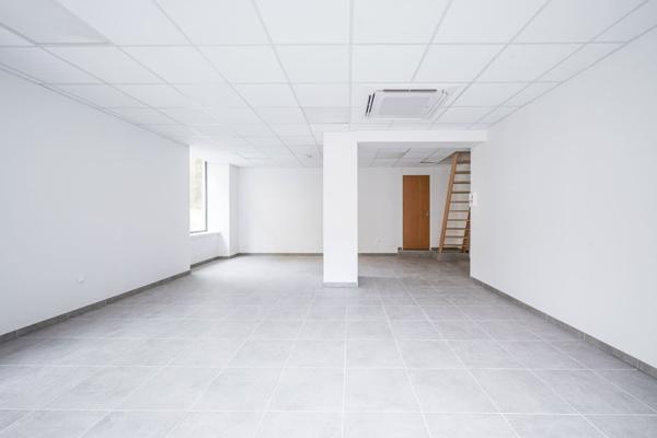 Local professionnel / commercial