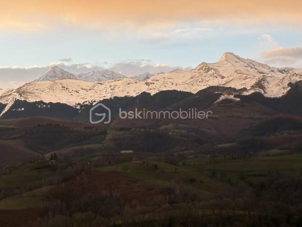 Terrain de 1 831 m²