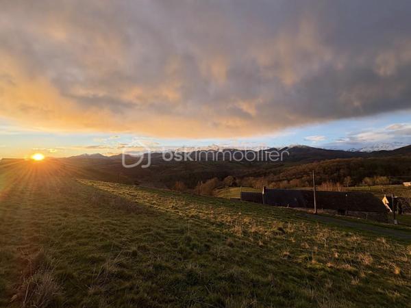 Terrain de 1 831 m²