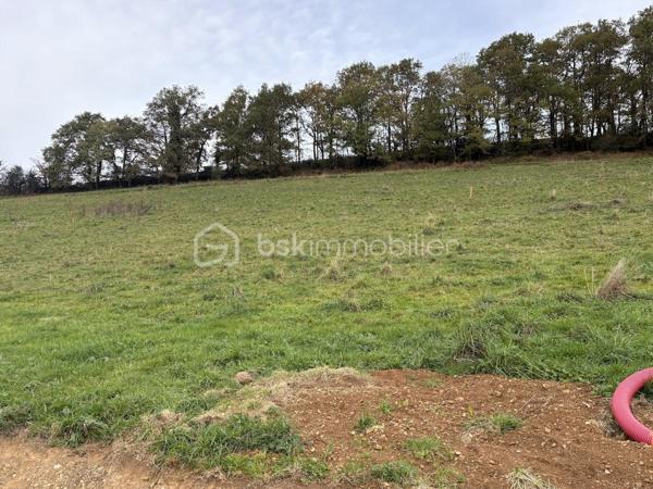 Terrain de 1 831 m²