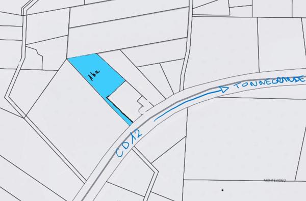 TERRAIN AGRICOLE de 1HA EN VENTE à TONNEGRANDE