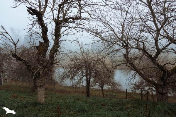 Maison à vendre |  Leyme |  5 pièces | 115 m²