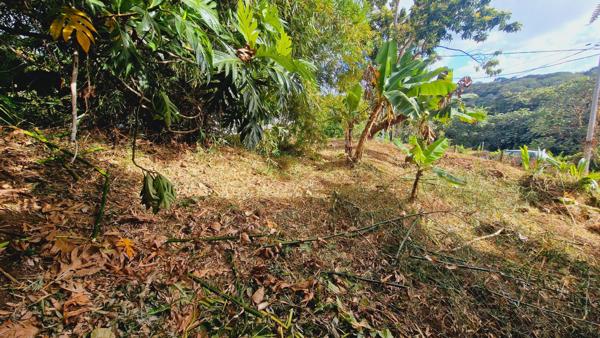 Maison à LE LAMENTIN (97232)