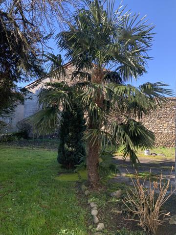 Labarthe-Rivière (31800) Grande demeure