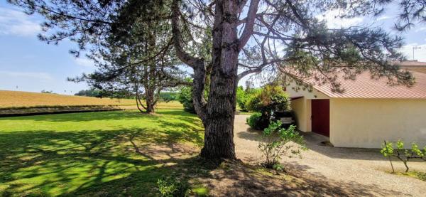 Charmante maison de 210m² avec terrain arboré de 2800m² à Maison Mas d'Agenais
