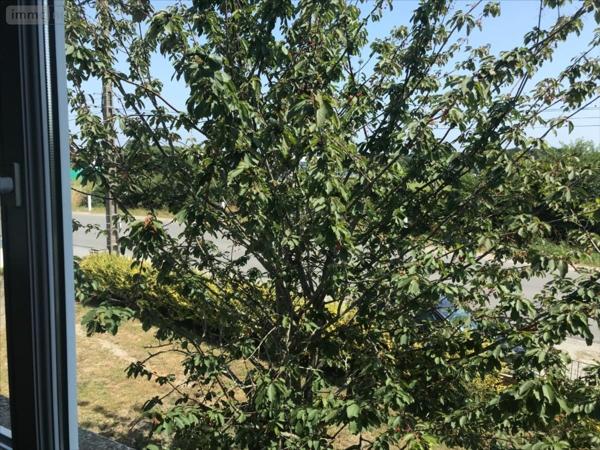 Maison à vendre à Locmiquélic dans le Morbihan (56570), ref : 1872B