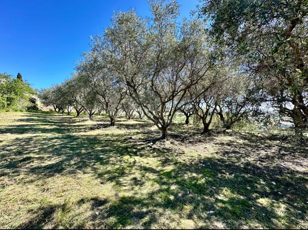 Nice (06200) MAGNIFIQUE TERRAIN PLAT CONSTRUCTIBLE AVEC VUE MER - NICE CREMAT