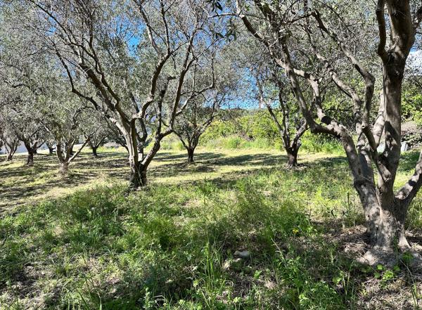 Nice (06200) MAGNIFIQUE TERRAIN PLAT CONSTRUCTIBLE AVEC VUE MER - NICE CREMAT