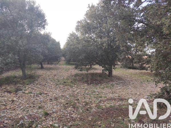 Terrain à vendre 2 993 m² Cairanne