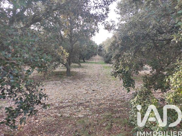 Terrain à vendre 2 993 m² Cairanne