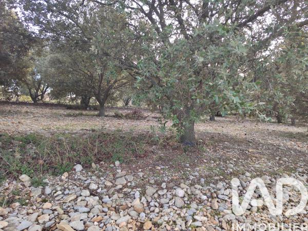 Terrain à vendre 2 993 m² Cairanne
