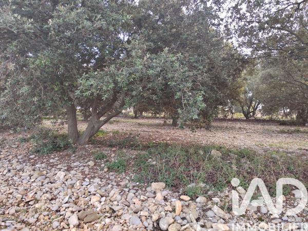 Terrain à vendre 2 993 m² Cairanne