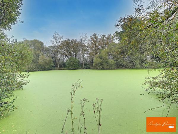 magnifique terrain de loisirs avec étang poissonneux à Belgeard