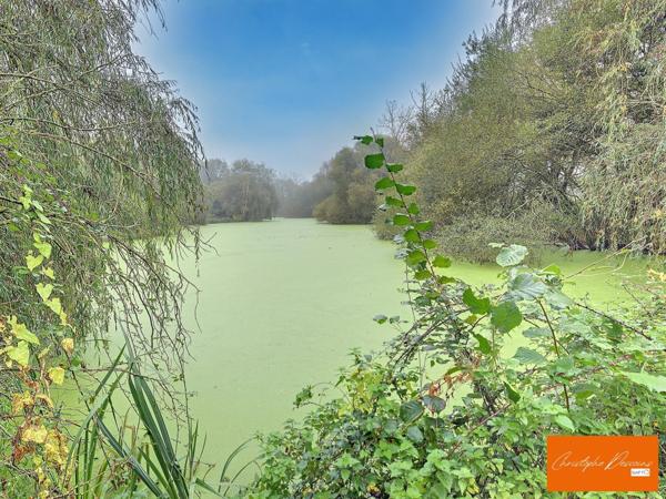 magnifique terrain de loisirs avec étang poissonneux à Belgeard