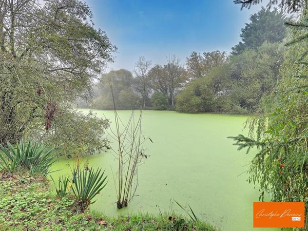magnifique terrain de loisirs avec étang poissonneux à Belgeard