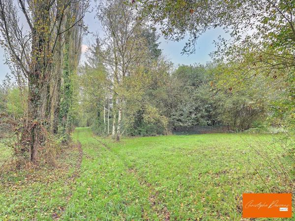 magnifique terrain de loisirs avec étang poissonneux à Belgeard