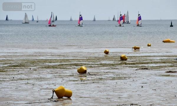 Maison à vendre à La Forêt-Fouesnant dans le Finistère (29940), ref : 29014-2912