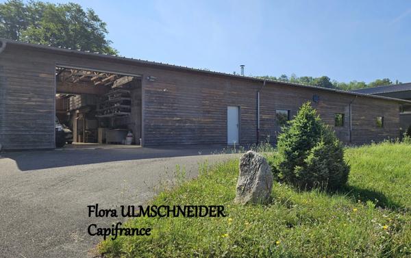 ATELIER, STOCKAGE, BUREAU à vendre MAGNIEU (01) avec logement de fonction + terrain proche de BELLEY à env. 1H30 de Lyon et de Genève