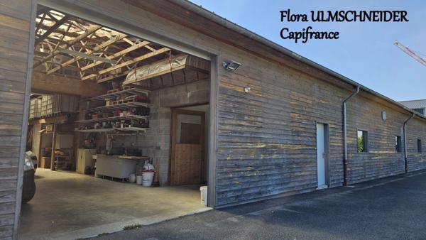 ATELIER, STOCKAGE, BUREAU à vendre MAGNIEU (01) avec logement de fonction + terrain proche de BELLEY à env. 1H30 de Lyon et de Genève