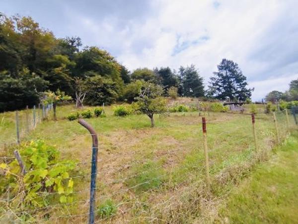 Terrain à vendre |  Brive-la-Gaillarde |  4049 m²