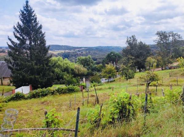 Terrain à vendre |  Brive-la-Gaillarde |  4049 m²