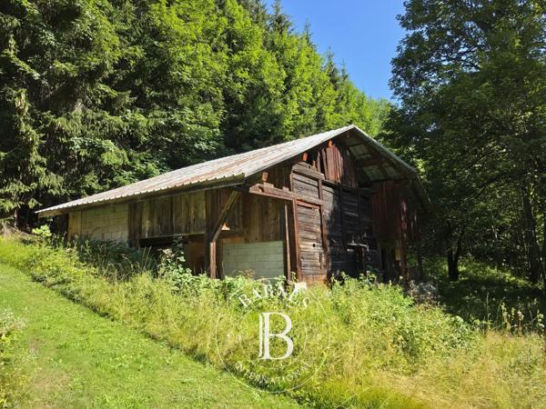 Samoëns, Chalet  154 m² à vendre