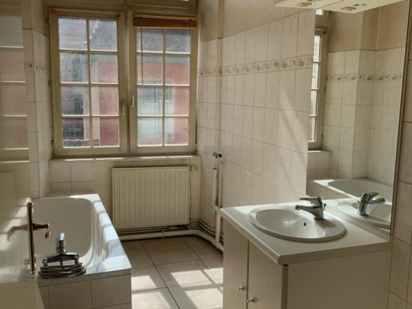 Location Appartement 2 pièces Sélestat (67600) - CV