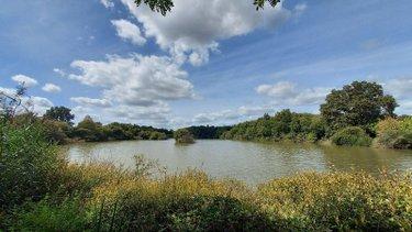 Étang à vendre à Château-Gontier-sur-Mayenne en Mayenne (53200), ref : 53034-9