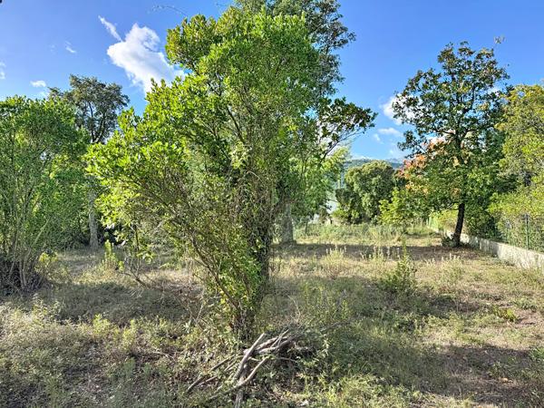 Prunelli-di-Fiumorbo (20243) Terrain constructible 1 250 m² – Prunelli di Fiumorbo – 145 000 €