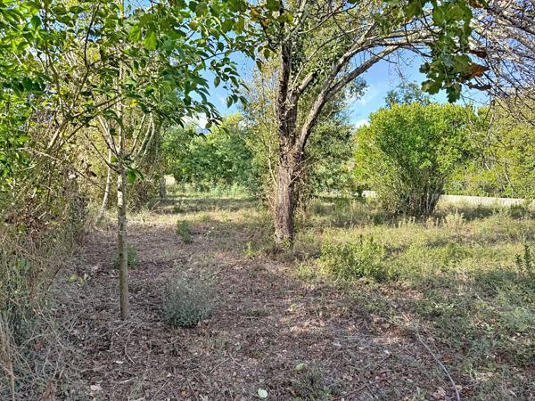 Prunelli-di-Fiumorbo (20243) Terrain constructible 1 250 m² – Prunelli di Fiumorbo – 145 000 €