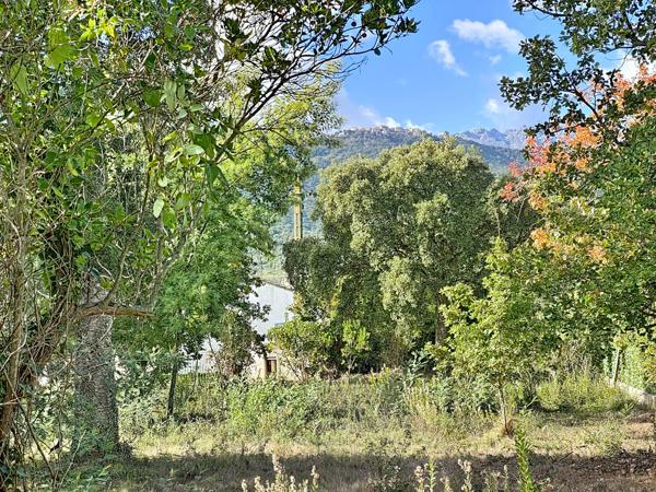 Prunelli-di-Fiumorbo (20243) Terrain constructible 1 250 m² – Prunelli di Fiumorbo – 145 000 €