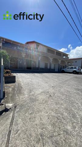 Immeuble 10 pièces - 553 m² Exclusivité efficity