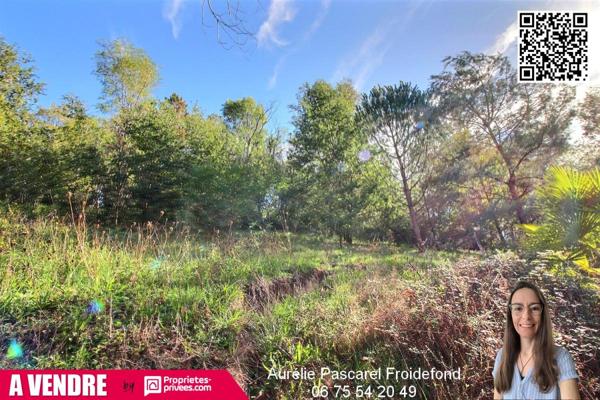 MALEMORT : Maison familiale T7 de 154m² avec équipements récents, et PISCINE dans un environnement CALME et verdoyant