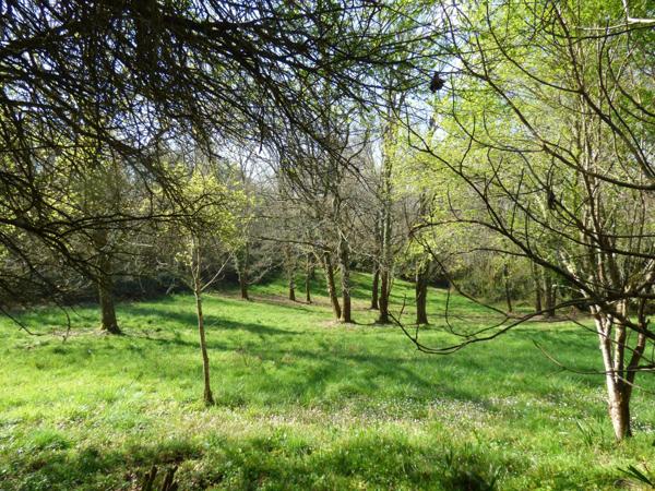 Maison campagne 135 m², 4 chambres, 7 102 m²