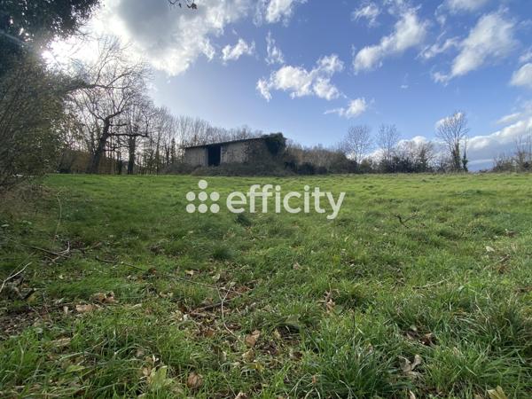 Terrain - 2347 m² Exclusivité efficity