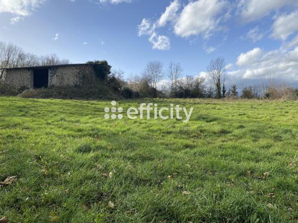 Terrain - 2347 m² Exclusivité efficity