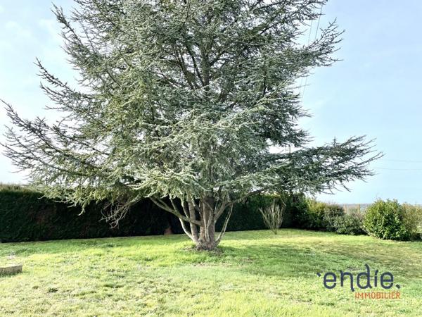 BELLE MAISON DE 138 m² à MONCONTOUR