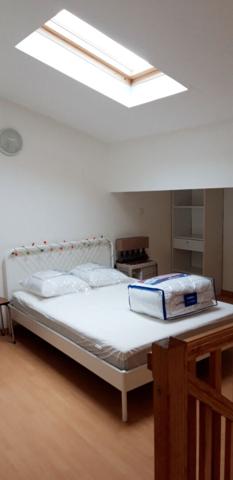 Location appartement Bordeaux : 750 € - AJP Immobilier Bordeaux Nansouty