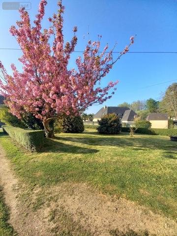 Maison à vendre à Brech dans le Morbihan (56400), ref : 56080-919