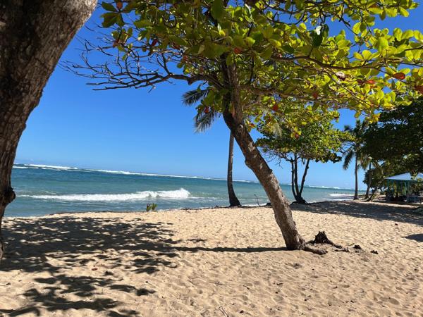 A VENDRE- Studio 28m2 en rez-de-chaussée Le Moule