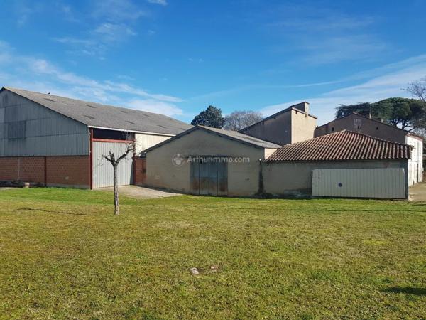 Vente Local industriel 900 m2 à Albi