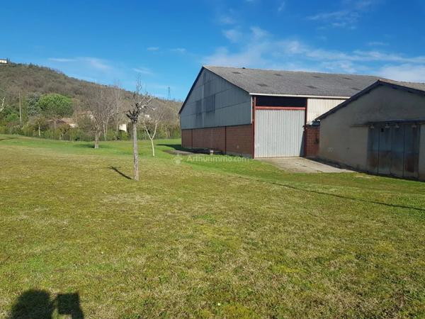 Vente Local industriel 900 m2 à Albi